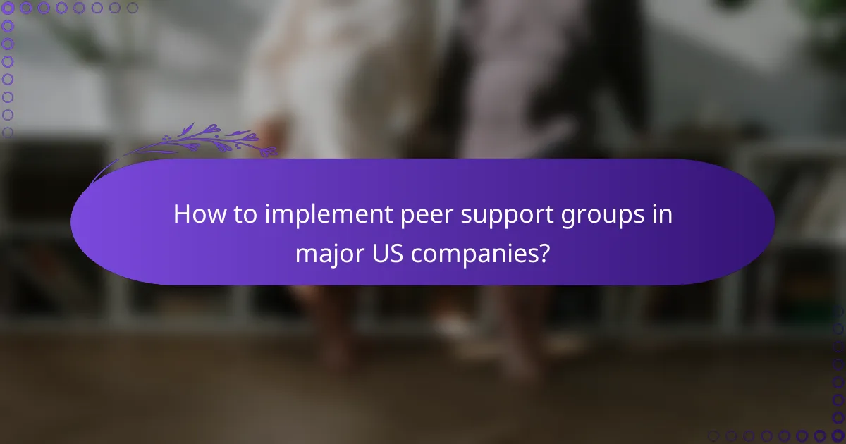 How to implement peer support groups in major US companies?