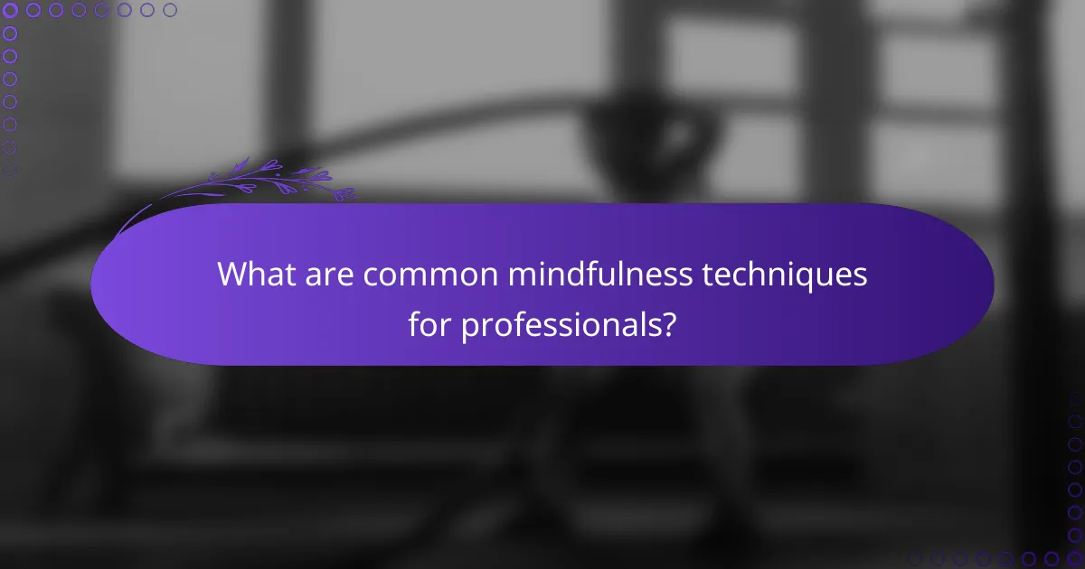 What are common mindfulness techniques for professionals?