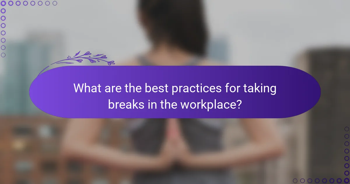 What are the best practices for taking breaks in the workplace?